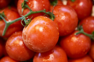 Fresh truss tomatoes with water drops