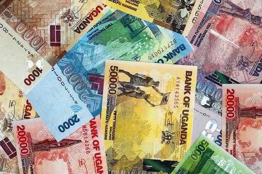 Ugandan shilling paper banknotes pile on table. Uganda UGX currency money bills in big amount. Concept of economics, taxation and banking in Uganda