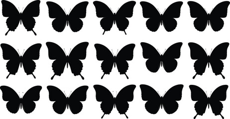 Collection of Black Butterfly Silhouettes on a White Background Keywords: butterfly, silhouette, black, insect, wing, nature © MdMoziburRahman