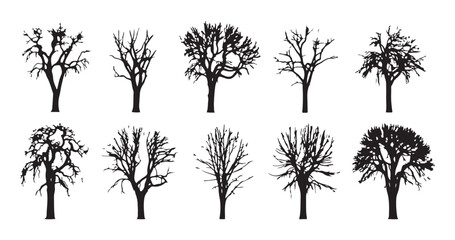 Obraz premium Silhouette collection of winter dead trees isolated on white background for landscape design compositions