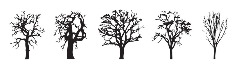 Obraz premium Collection of black and white bare trees in silhouette. vector illustration of a natural scene