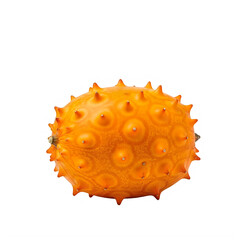 A close-up view of a spiky, round, orange sea urchin against a plain background isolated on transparent background