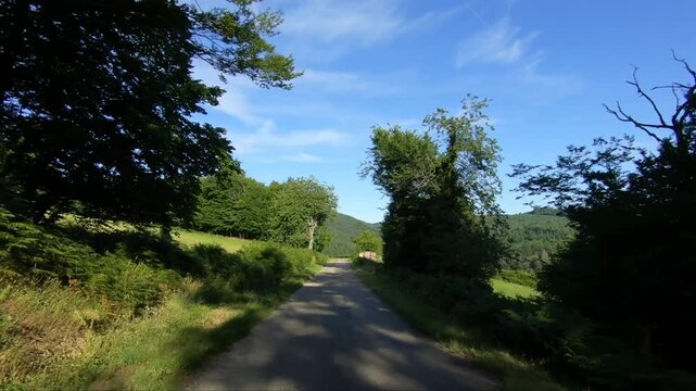 Quiet rural road winding through lush green forested hills in the Morvan region of France under a clear blue sky.