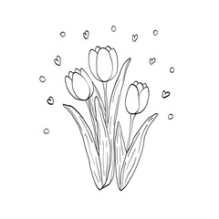 Bouquet of three tulips with hearts doodle style