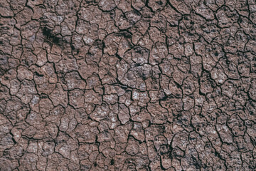 texture of the ground