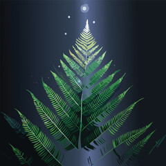 Stylized fern illustration with dramatic lighting