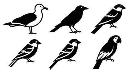 Bird silhouettes set, various avian species icons, black and white graphic collection