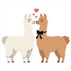 Fototapeta premium Llamas in love vector flat illustration colorful couple with floral wreath and bow tie