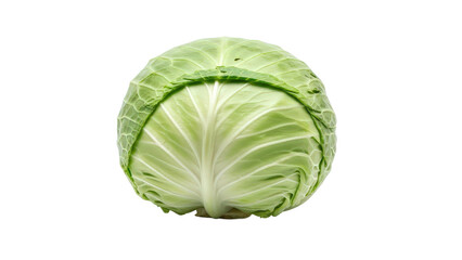 Fototapeta premium Fresh green cabbage head isolated on transparent background cutout