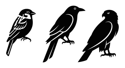 Obraz premium Diverse bird silhouettes: sparrow, crow, and hawk in black and white graphic style