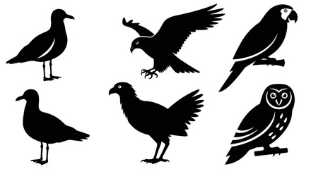 Fototapeta premium Diverse Bird Species Silhouettes Collection: Eagle, Owl, Parrot, Seagull, and Hen