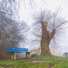 blue park bench on the shore of lake with reed, on a misty day with jetty in background © Dieter