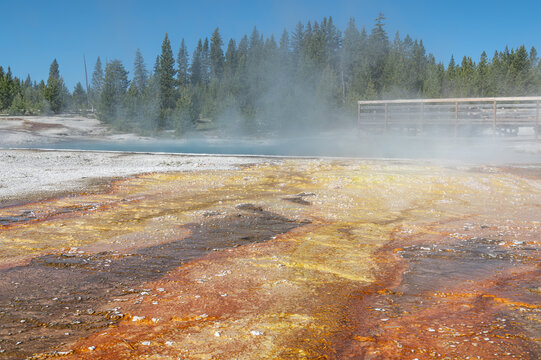 Steaming Geothermal runoff  at west thumb geyser basin in Yellowstone Park. Wyoming, USA