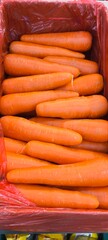 Fresh carrots for sale in the market.