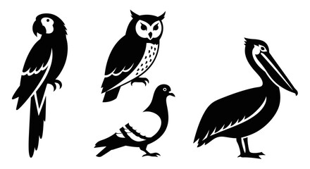 Obraz premium Bird Silhouettes Collection: Parrot, Owl, Pigeon, and Pelican Vector Art