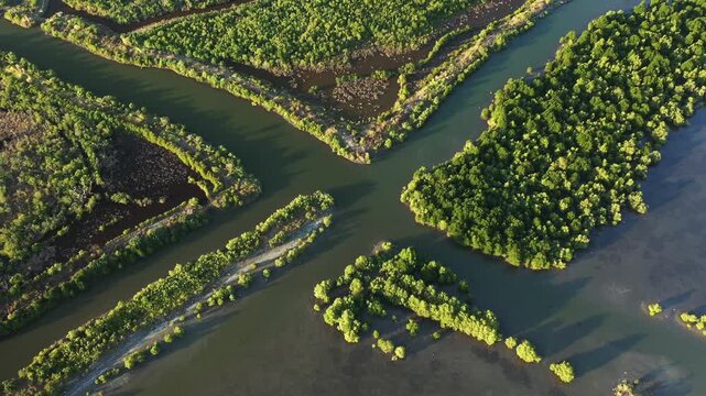Aerial shot of lush green mangrove islands and winding waterways in Kampot, Cambodia. The dense vegetation and intricate channels highlight the beauty of this tropical wetland ecosystem.