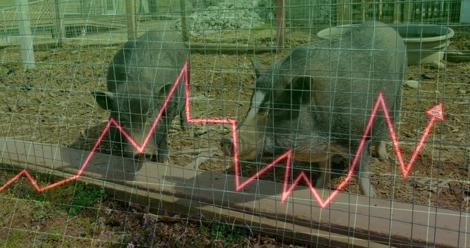 Red line graph entering left initiating pig rooting and plank nudging illustrating market trend