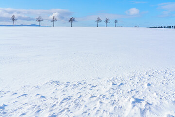 北海道大空町　冬のメルヘンの丘　冬の絶景旅行