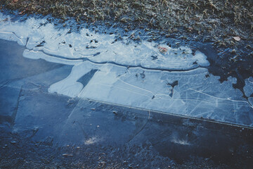 zamarznięta kałuża  © Marcin Łazarczyk