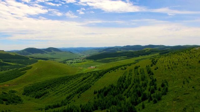 green hill mountain with forest pine landscape and blue skyline view scene pine woods forest revealing mountain valley 4k HD