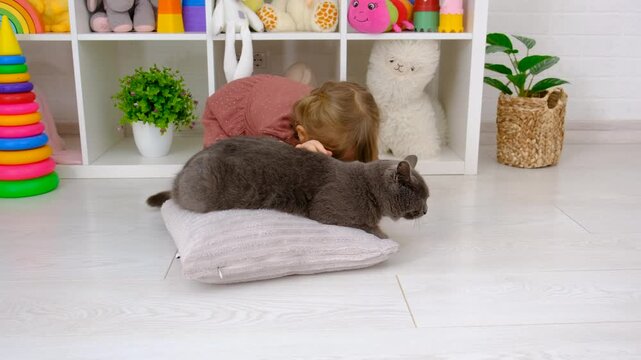 A child plays with a cat at home. Selective focus.