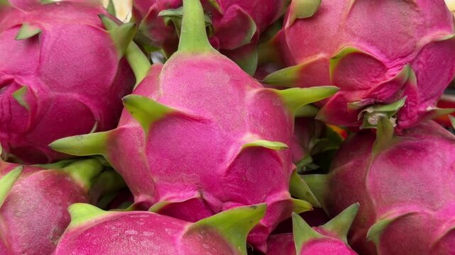 Close view of fresh dragon fruit tightly packed inside a container, showing ready for sale tropical produce within a busy commercial environment. Exotic produce.