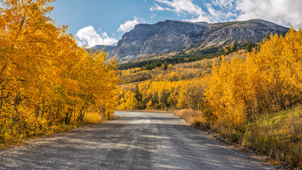 Fototapeta premium Autumn golden colors on Route 3 in Glacier National Park on the way to the Many Glacier area 