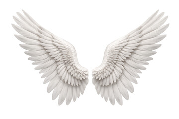 Fototapeta premium angel wings isolated on white