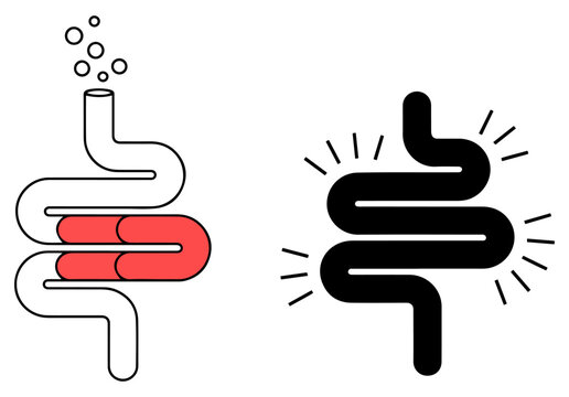 colitis gut icon vector set