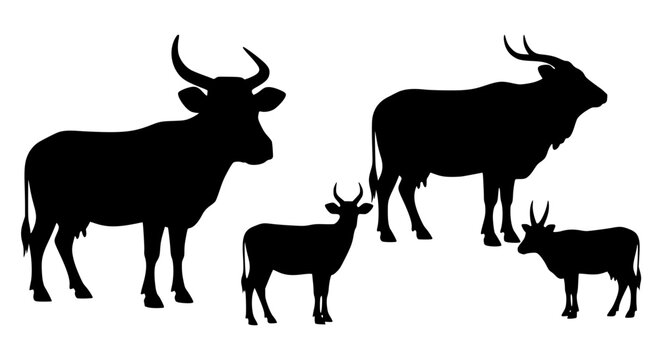 Cows silhouette set with horns and udders, black graphic vector featuring cow, cattle, bovine with livestock and farm