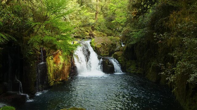 Kikuchi Gorge Waterfall in Autumn, Smooth Flowing River, Cinematic B-Roll Footage