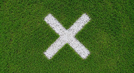 White x mark on the green grassy field indicating a specific location or marking