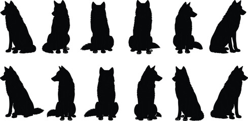 Black wolf silhouettes collection with sitting and standing poses for wilderness forest nature and wild animal predator vector design set © Mst