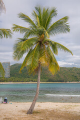 A palm tree on the beach in Sanya, China. Sanya is called The Chinese Hawaii