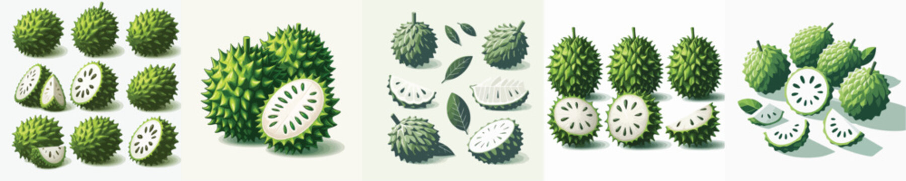 Soursop Fruit Vector Illustration Collection