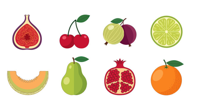Assorted colorful fruits illustration