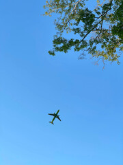 An airplane in the sky against a tree
