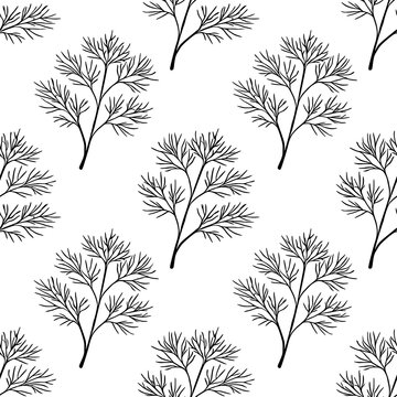 Seamless vector pattern of delicate dill sprigs on a white background, botanical illustration