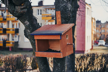 karmnik dla ptaków  © Marcin Łazarczyk