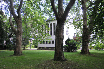 Obraz premium Park mit Kirchengebäude
