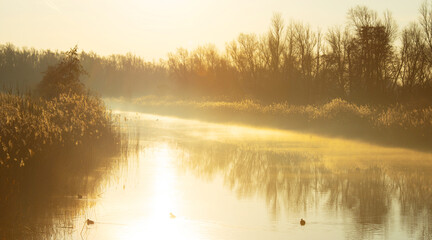 The Edge Lake The Light