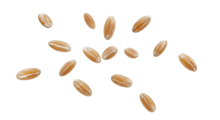 Graceful golden wheat grains cascade elegantly, suspended in air against a brilliant white background, symbolizing natural bounty, healthy