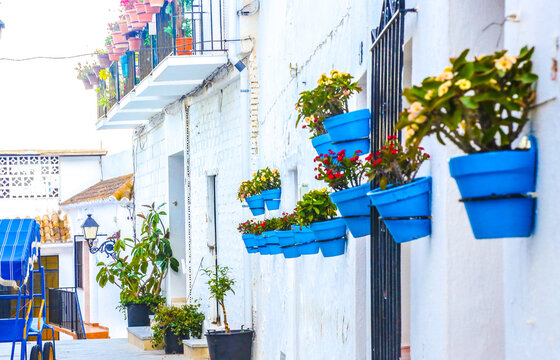 Charming white Mediterranean street adorned with vibrant blue flower pots and lush greenery