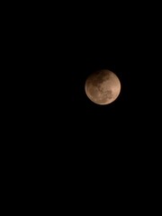 Obraz premium moon in the night sky