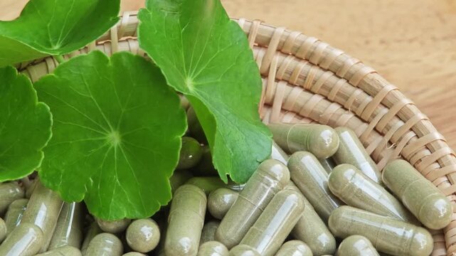 Asiatic pennywort. Centella asiatica capsules.