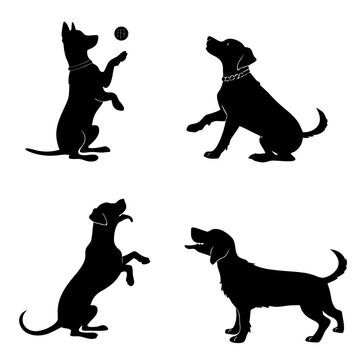 Four different black silhouettes of dogs interacting with a ball in various playful poses on a white background