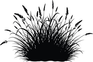 Detailed Black Silhouette of a Lush Grass Bush with Seed Heads © Gous
