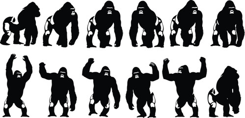 Set of black gorilla silhouettes isolated on white background, various poses of silverback apes for wildlife design, animal vector illustration and nature concepts © Asraful