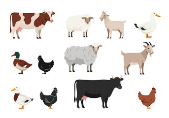 Farm animals collection cow, sheep, goat, duck, chicken, livestock illustration © Nurul