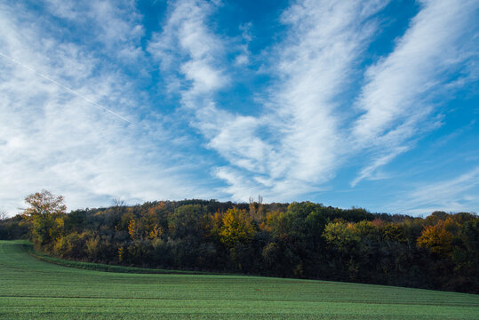 Paysage de campagne en automne avec un ciel bleu et des nuages blancs. Cirrus au dessus d'une for&ecirc;t. Paysage rural automnal. 